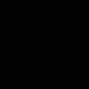 Meet your Posher, Cheyenne